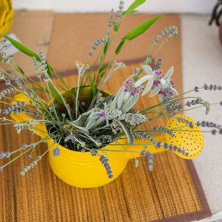 Molnar Resort Apartment Sergej Brzac エクステリア 写真